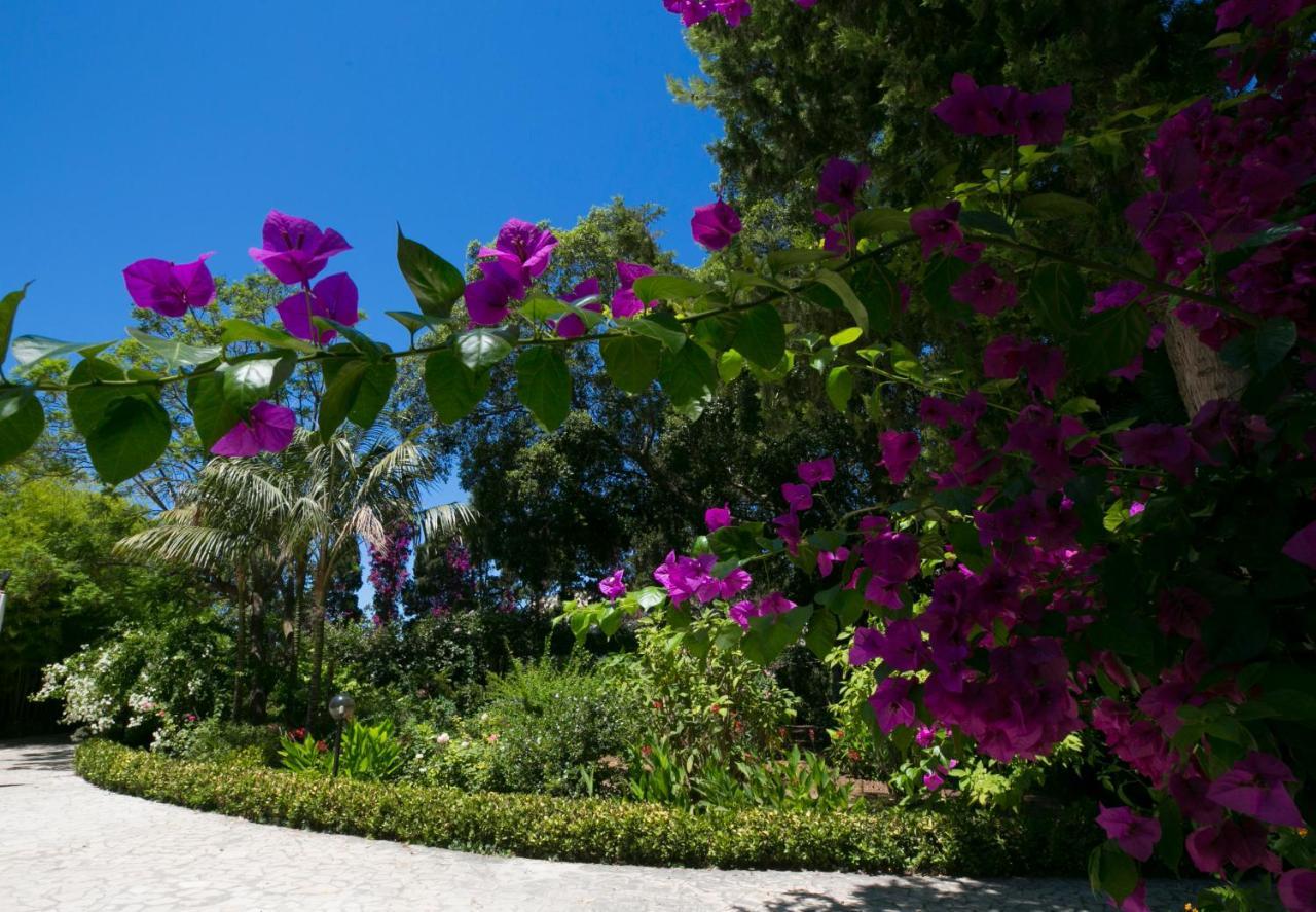 Villa Pampalone - B&B In Dimora Storica Trapani Buitenkant foto
