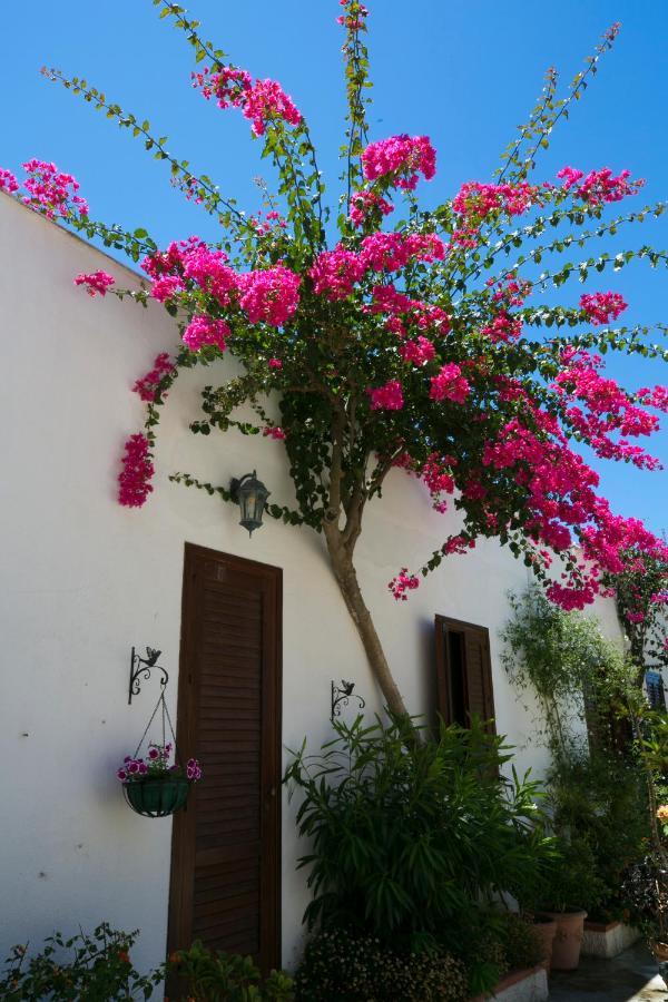 Villa Pampalone - B&B In Dimora Storica Trapani Buitenkant foto