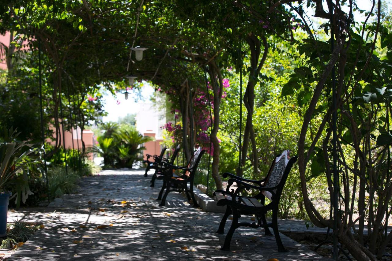 Villa Pampalone - B&B In Dimora Storica Trapani Buitenkant foto