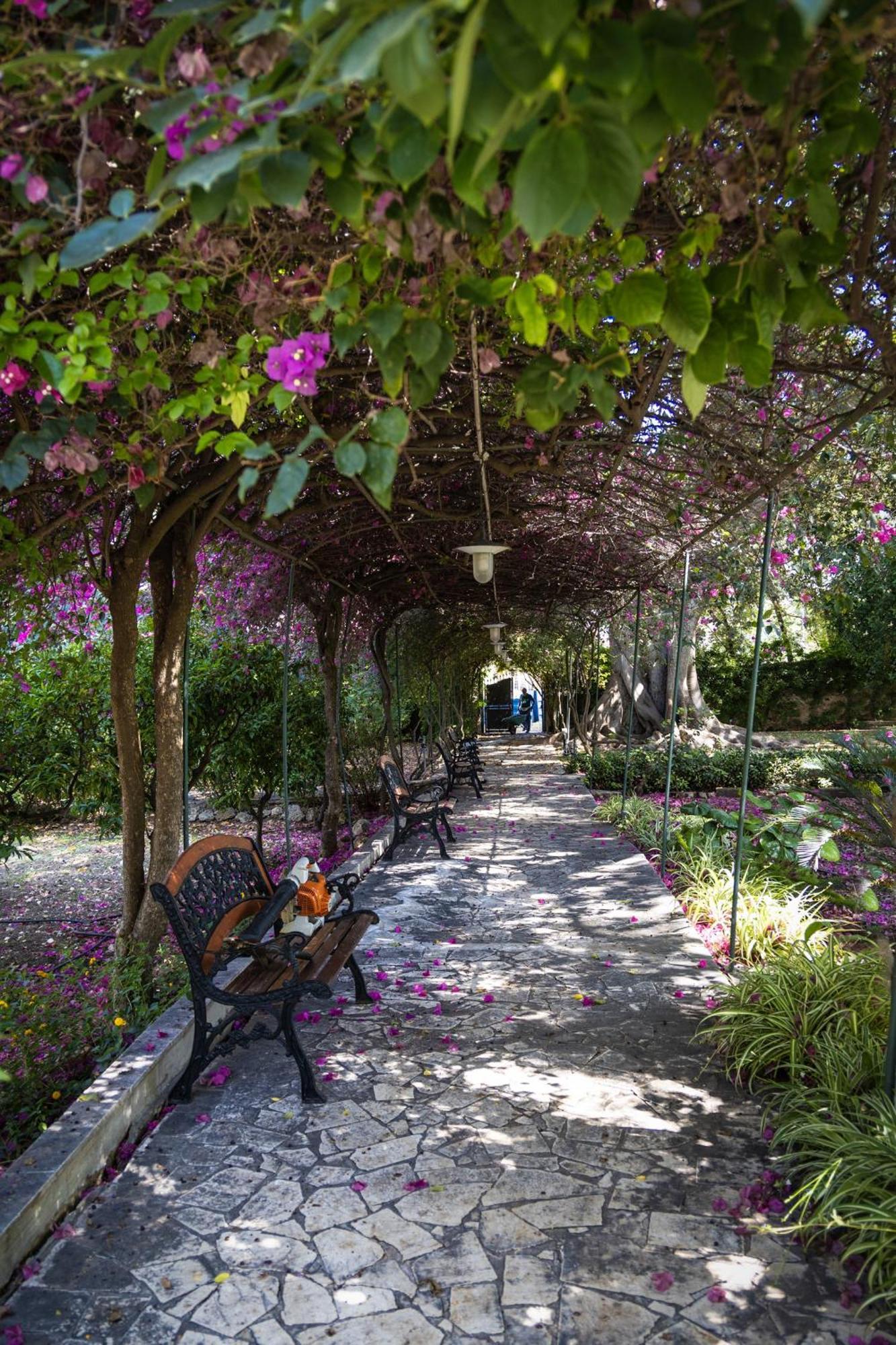 Villa Pampalone - B&B In Dimora Storica Trapani Buitenkant foto